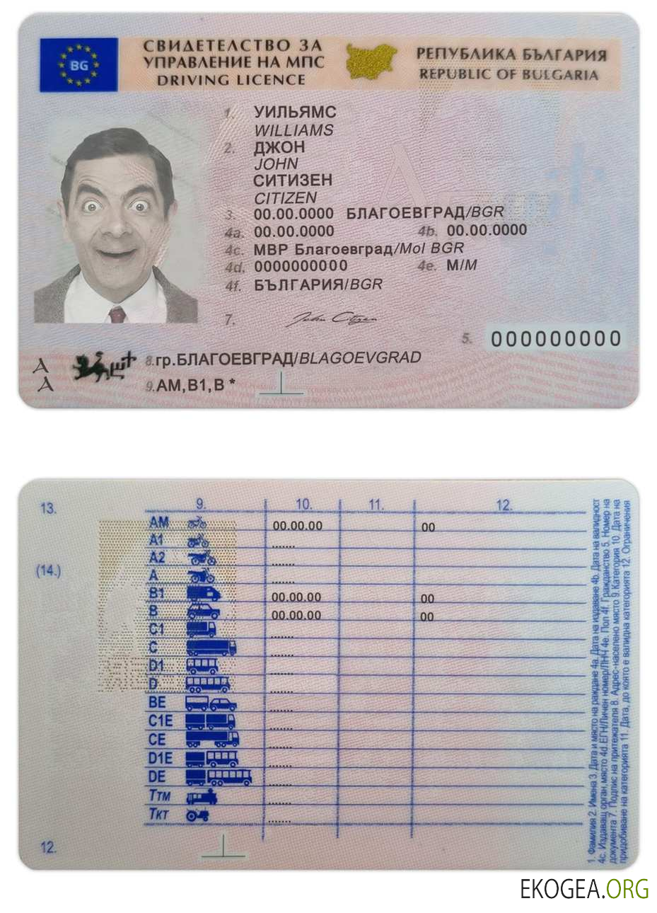 Bulgaria driving license template in PSD format,fully editable(2010present)